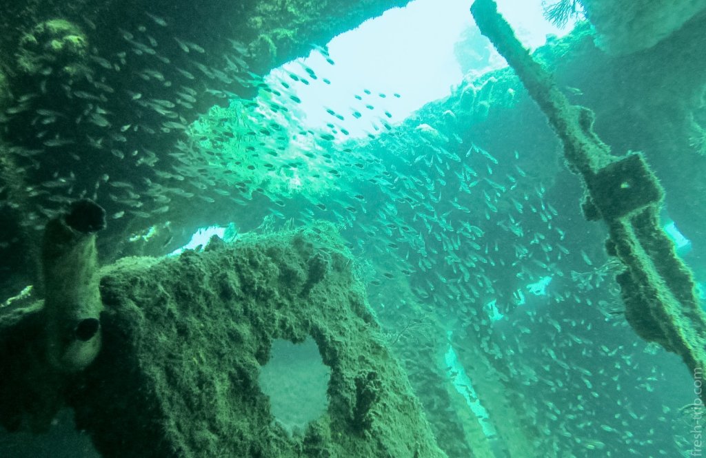 Корабль Tangat Gunboat Wreck, Филиппины